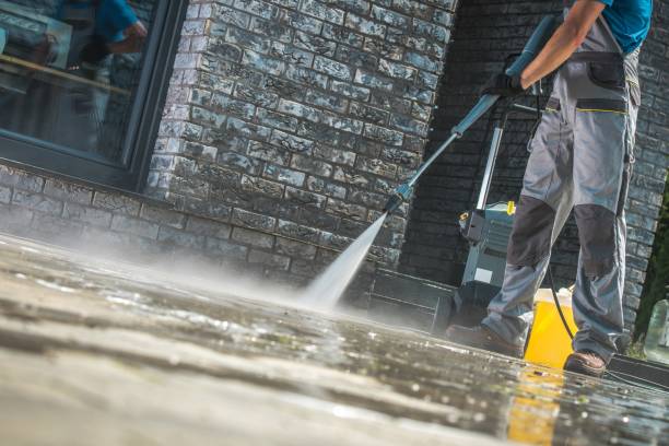 Best Gutter Cleaning  in Cashton, WI
